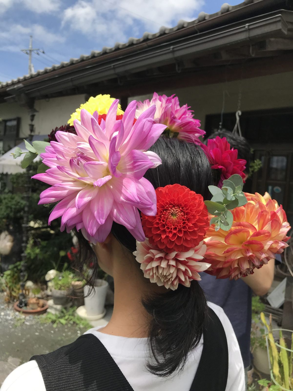 ダリアの花冠
